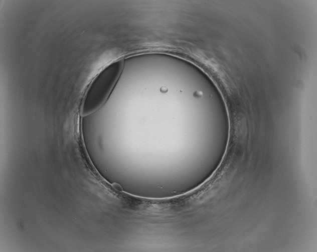 X0000113011365200908271359