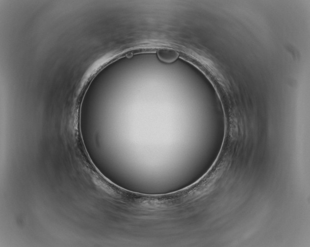 X0000113011366200908271359