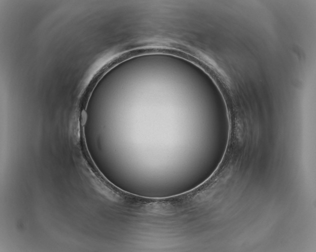 X0000113011368200908271359