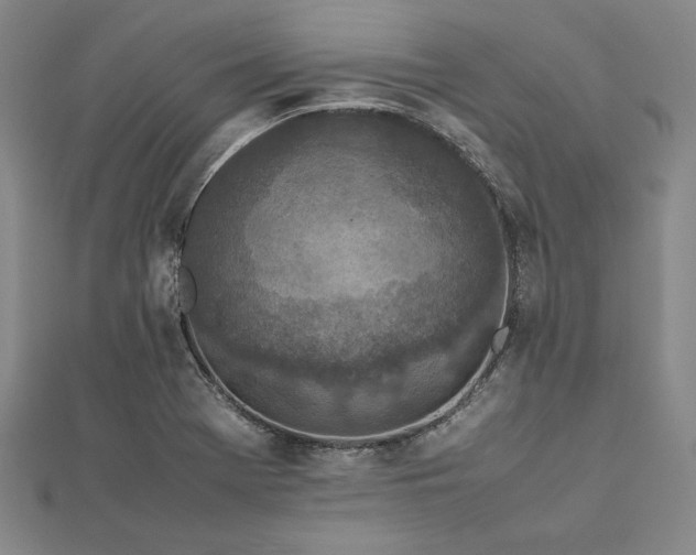 X0000113011369200908271359