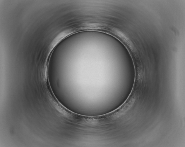 X0000113011370200908271359