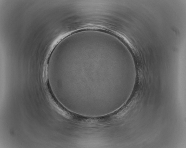 X0000113011371200908271359