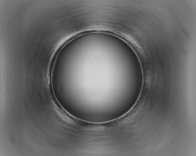 X0000113011372200908271359