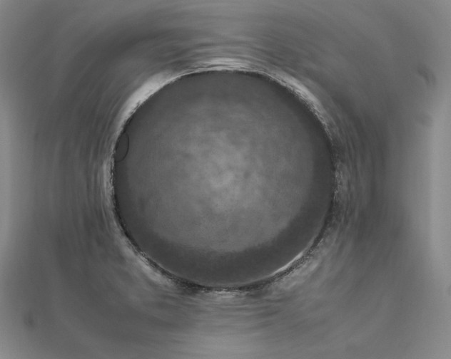 X0000113011373200908271359