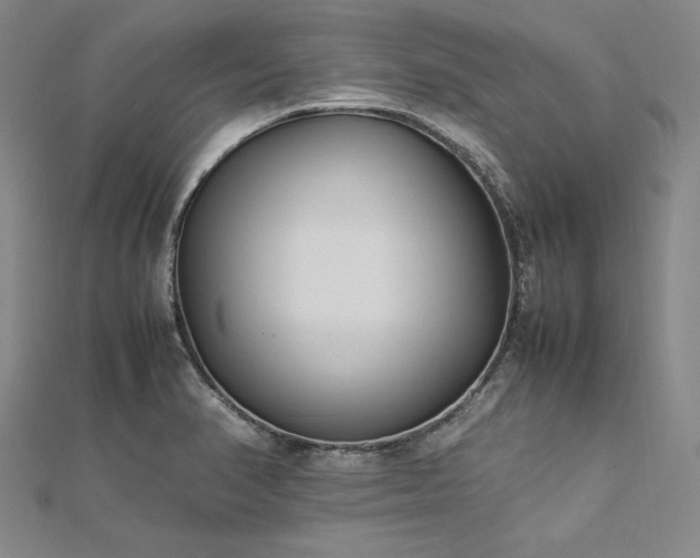 X0000113011374200908271359