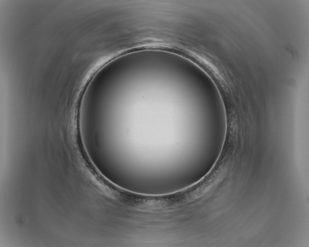 X0000113011375200908271359