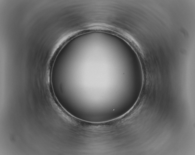 X0000113011376200908271359