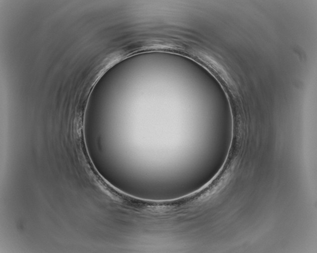 X0000113011377200908271359