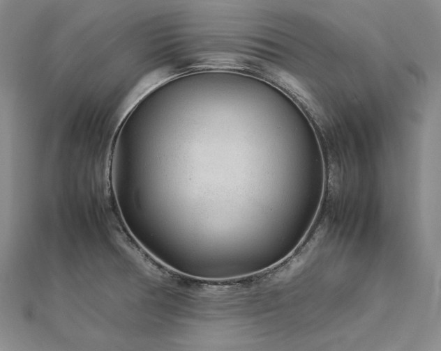 X0000113011378200908271359