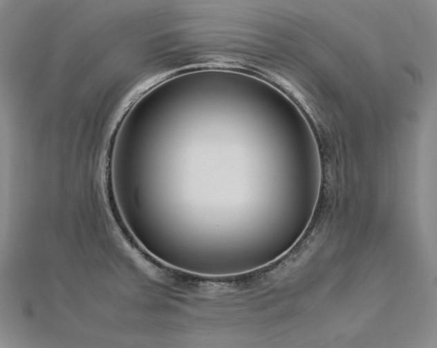 X0000113011379200908271359