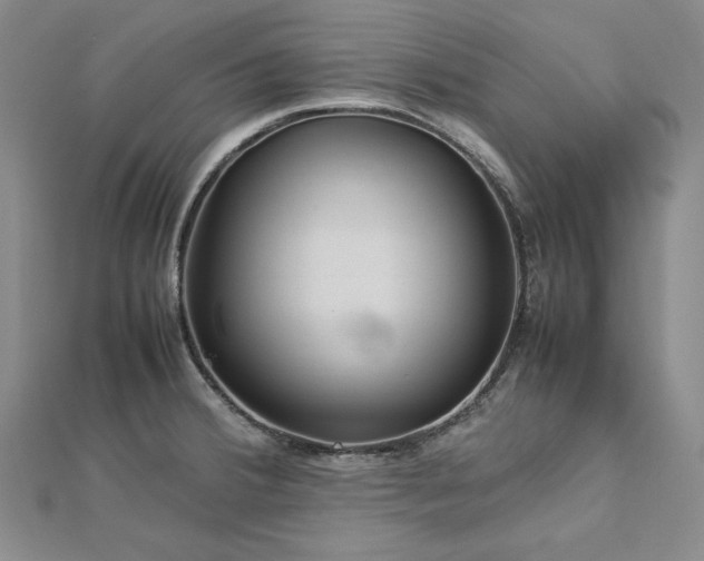 X0000113011380200908271359