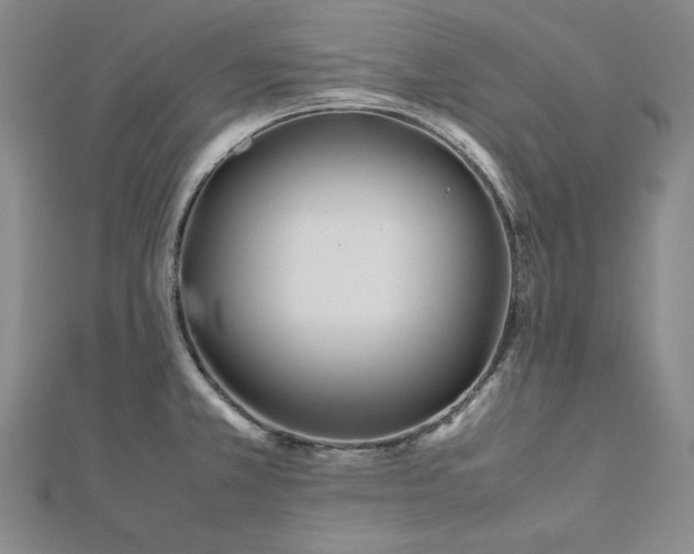 X0000113011381200908271359