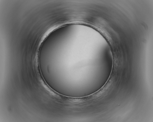 X0000113011382200908271359