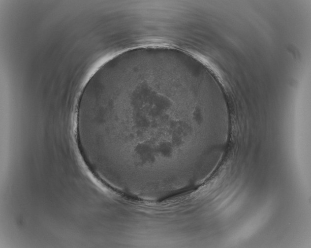 X0000113011383200908271359