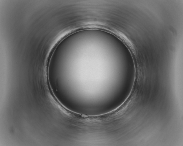 X0000113011384200908271359