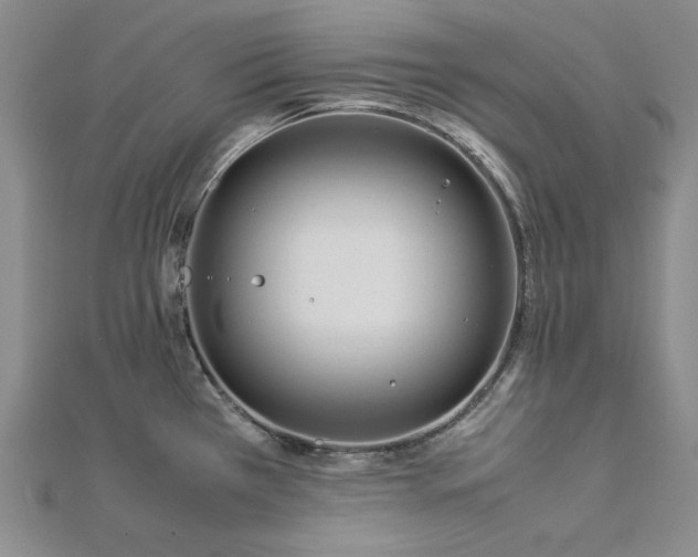 X0000113011385200908271359