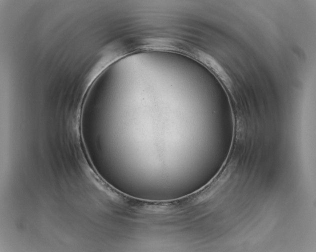 X0000113011386200908271359