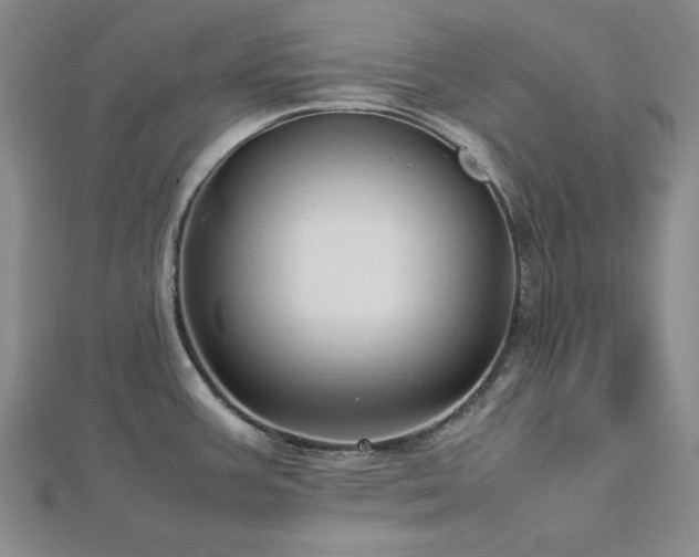 X0000113011387200908271359