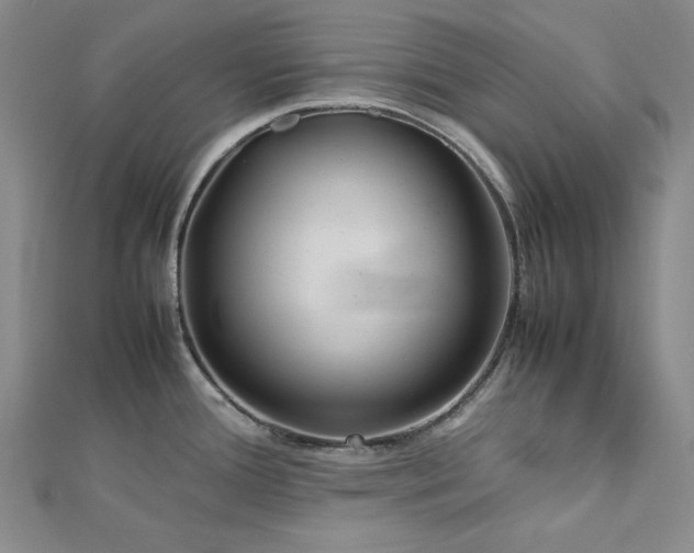 X0000113011388200908271359