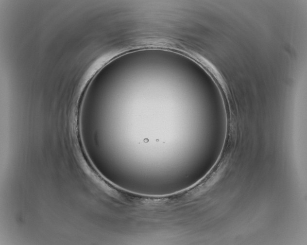 X0000113011389200908271359