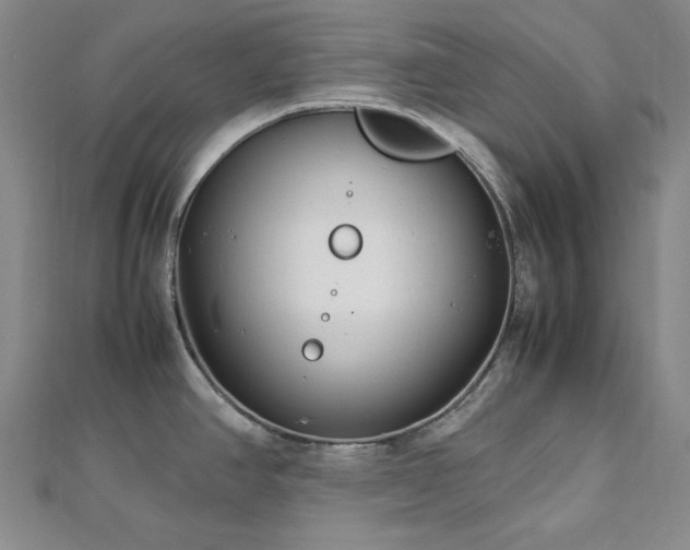 X0000113011390200908271359