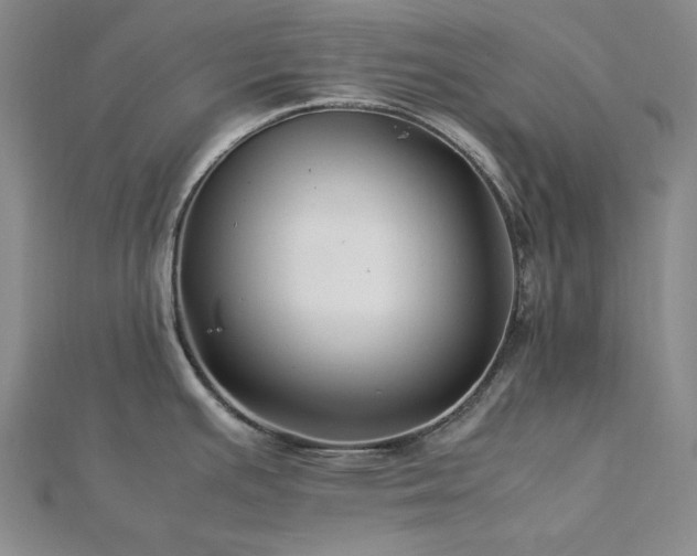 X0000113011391200908271359