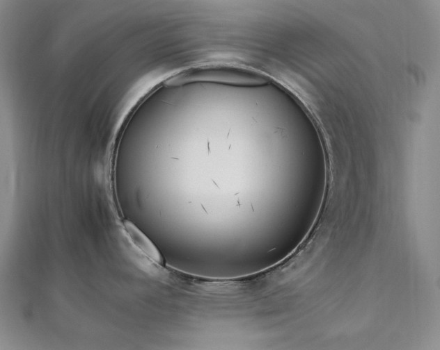 X0000113011392200908271359