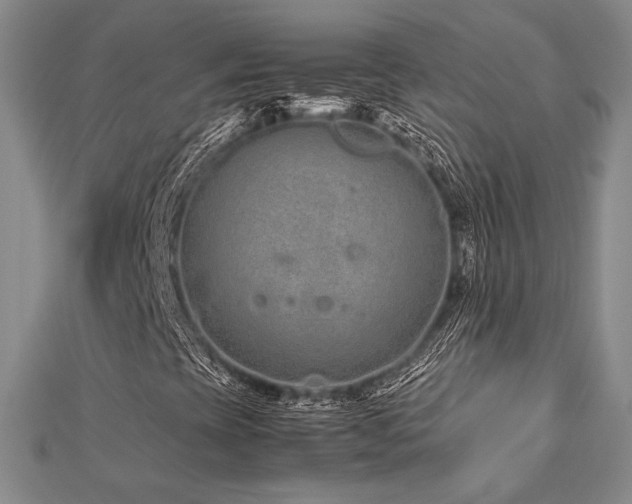 X0000113011393200908271358