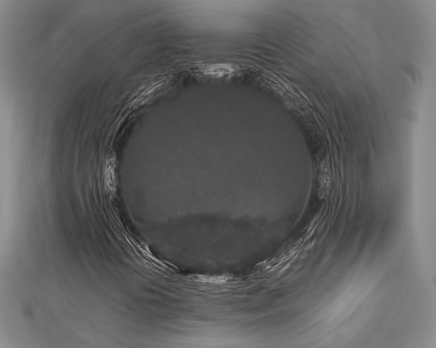 X0000113011394200908271358