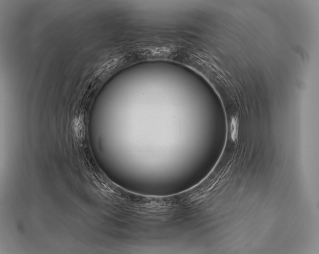 X0000113011395200908271358