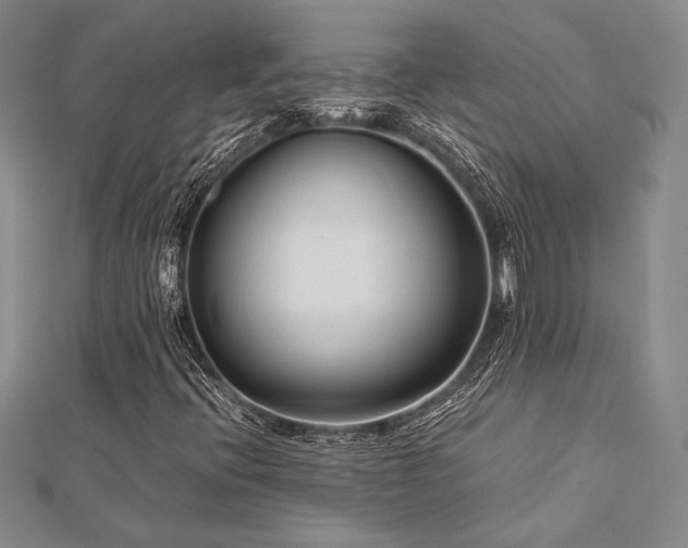 X0000113011396200908271358