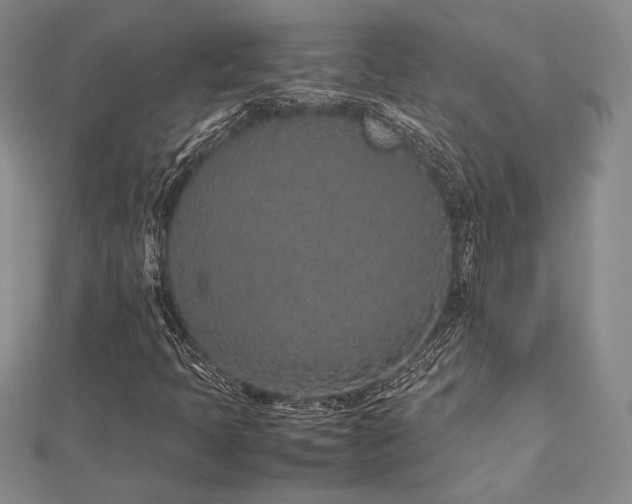 X0000113011397200908271358