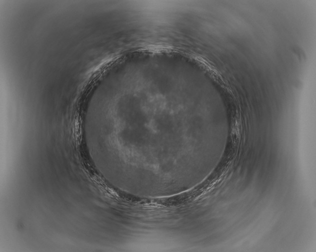 X0000113011398200908271358