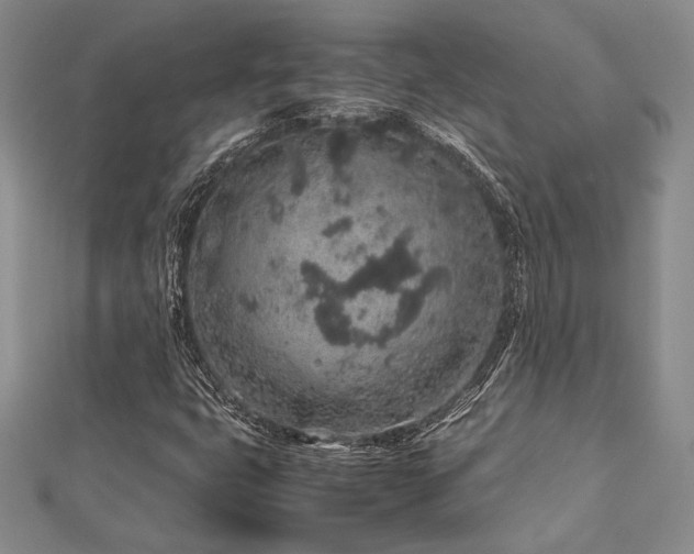 X0000113011399200908271358