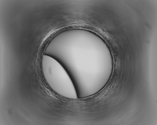 X0000113011400200908271358