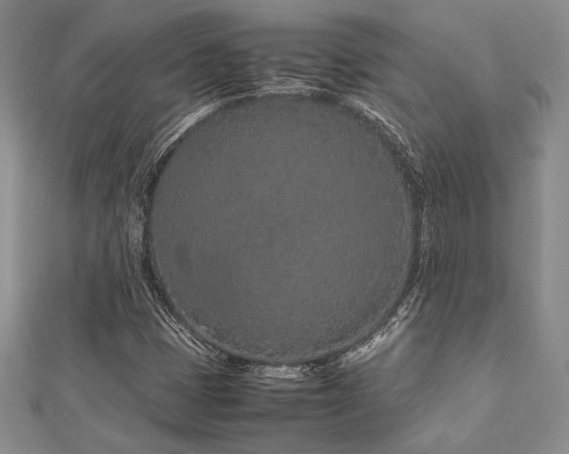 X0000113011401200908271358