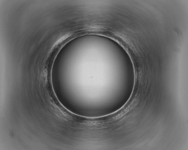 X0000113011402200908271358