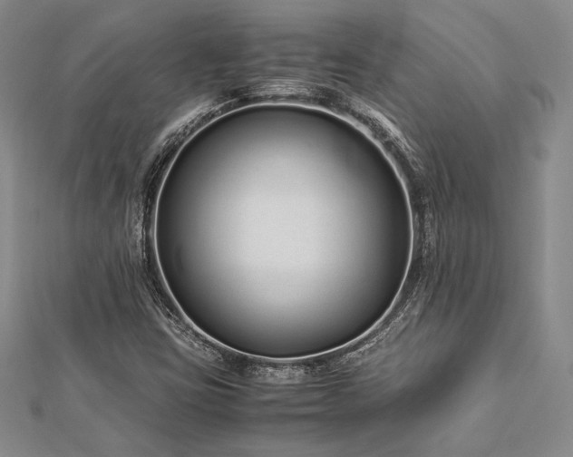 X0000113011403200908271358