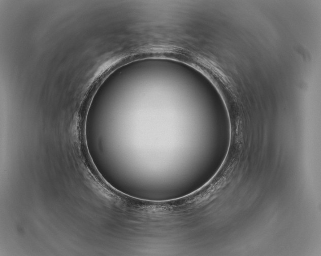 X0000113011404200908271358