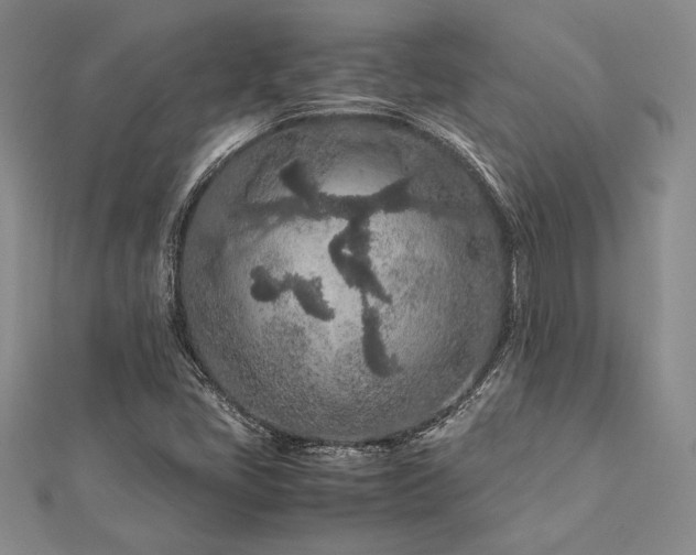 X0000113011405200908271358