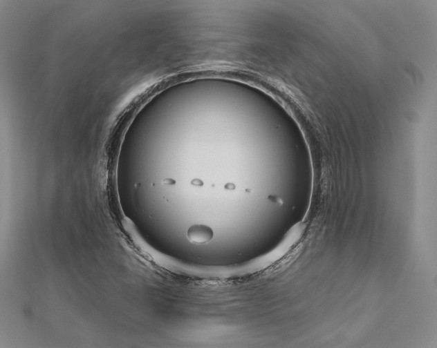 X0000113011406200908271358