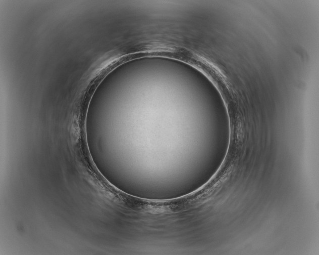 X0000113011407200908271358