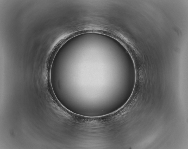 X0000113011408200908271358