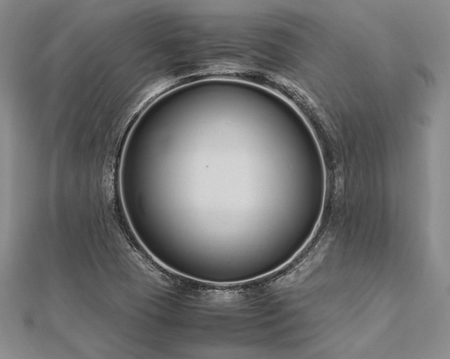 X0000113011409200908271358