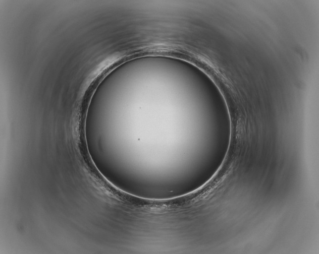 X0000113011410200908271358