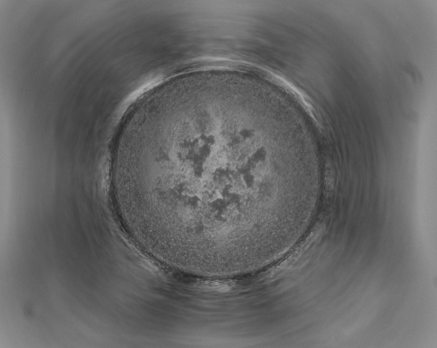 X0000113011411200908271358