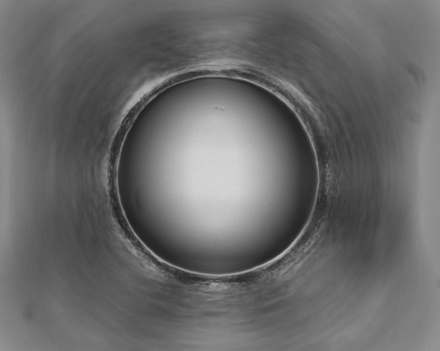 X0000113011412200908271359