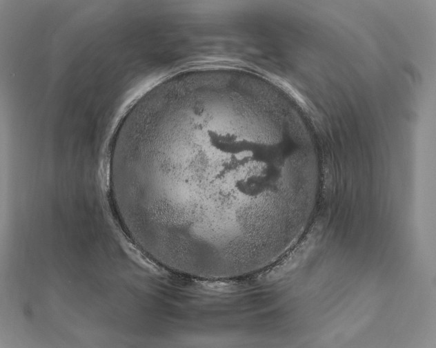 X0000113011413200908271359