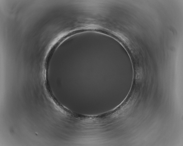 X0000113011414200908271359