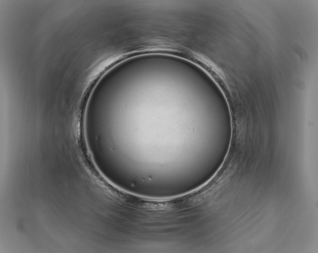 X0000113011415200908271359